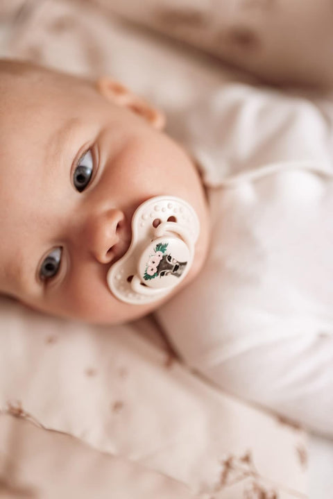 LOVI Soother Wild Soul for Girls (22/884), 2 Pcs - 6 to 18m