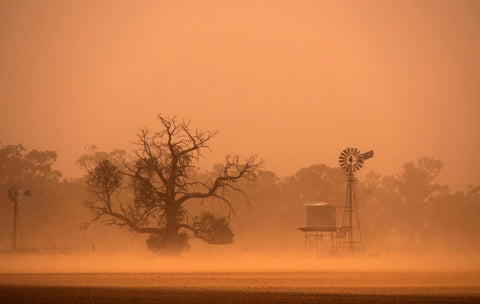 Dust Storm Protection Products