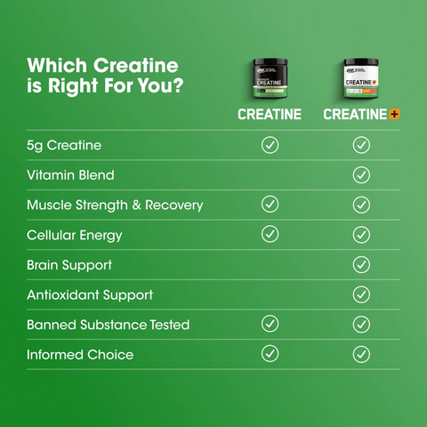 Optimum Nutrition Micronized Creatine, 300 Gm