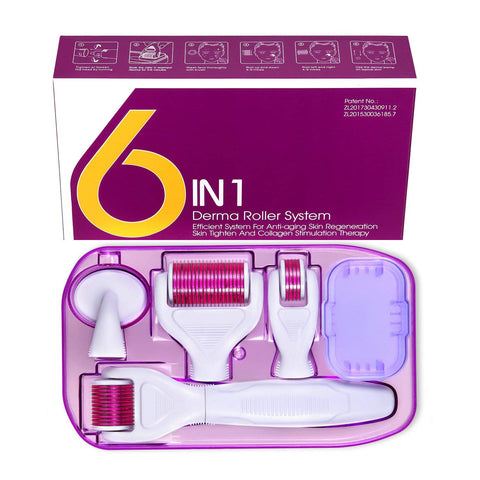 Derma Roller 6 in 1