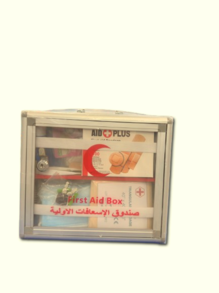 First Aid Box Pharma Link , Large